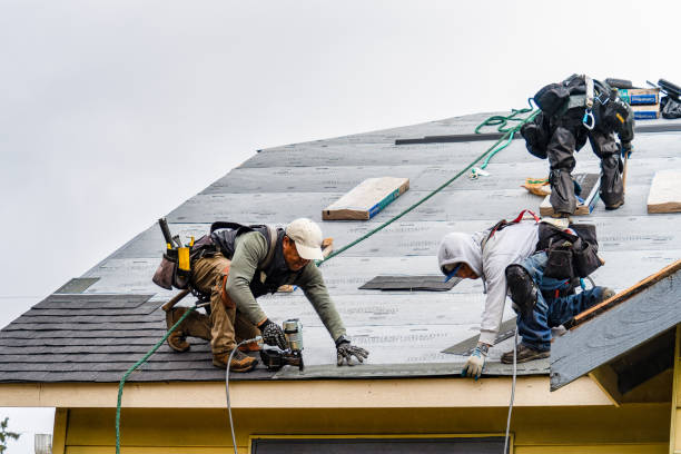 Professional Gutter Installation technician working in Clifton, TN